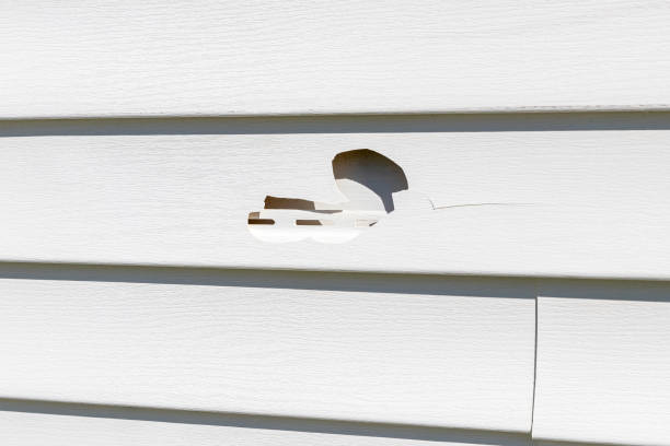 Affordable Siding Repair and Maintenance Services in Cortez, FL