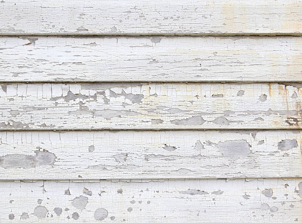 Best Siding Painting and Refinishing  in Cortez, FL